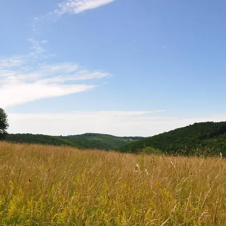 De La Dure Ferienhaus Salignac Eyvigues