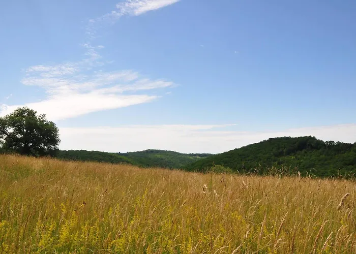 De La Dure Ferienhaus Salignac Eyvigues